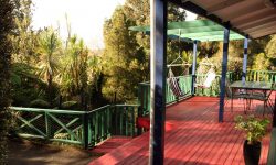 02 IMG_1853.JPG &nbsp;