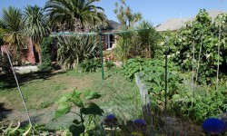 154pine-052_web.jpg &nbsp;