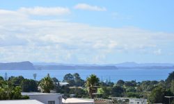 1DSC_8206.jpg &nbsp;