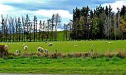 20 Outlook.jpg &nbsp;