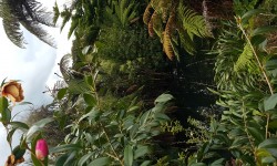 20160928_143350.jpg &nbsp;