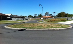 311883225[1].jpg &nbsp;