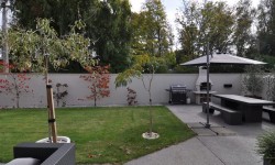 327287055[1].jpg &nbsp;