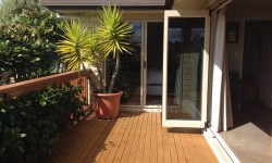 335160976[1].jpg &nbsp;