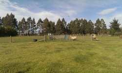 336070747[1].jpg &nbsp;