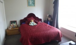 341129451.jpg &nbsp;