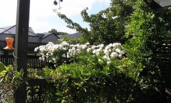 348328108[1].jpg &nbsp;