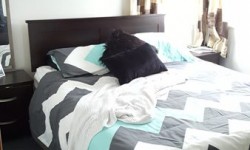 556992020.jpg &nbsp;