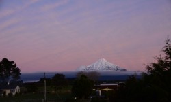 DSC_0057_001.JPG &nbsp;