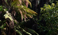 DSC_0456_001.JPG &nbsp;