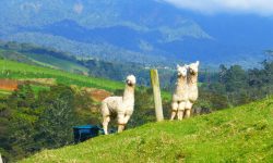 P1030627 resized.jpg &nbsp;