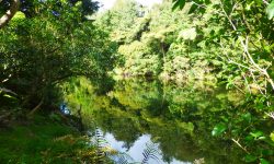 P1030685 resized.jpg &nbsp;