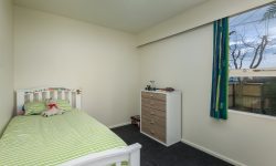 © www.paulwheeler.nz-7.jpg &nbsp;