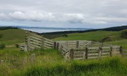 20180316_121139.jpg &nbsp;