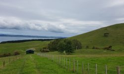 20180316_121624.jpg &nbsp;