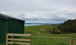 20180316_121751.jpg &nbsp;