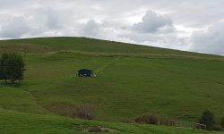 20180316_123349.jpg &nbsp;