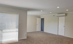 20190304_113822.jpg &nbsp;