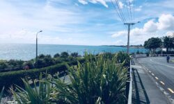 1723418562[1].jpg &nbsp;