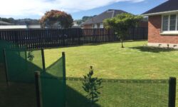 IMG_0165.jpeg &nbsp;