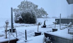 thumbnail_IMG_0542.jpg &nbsp;