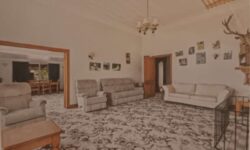 20251013_200023.jpg &nbsp;