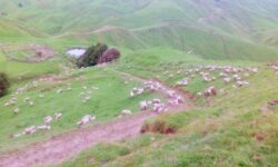 IMG_20201030_080907.jpg &nbsp;