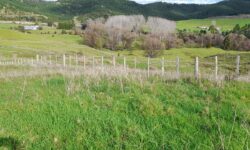 Land and house in the back ground.jpg &nbsp;