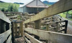 Loading bay.jpg &nbsp;