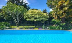 Messenger_creation_FBB5397D-B282-4AAA-BDF5-D10B97CC60BB.jpeg &nbsp;