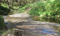 River crossing.jpg &nbsp;