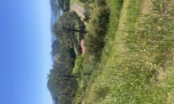 IMG_1289.jpeg &nbsp;