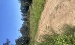 IMG_1295.jpeg &nbsp;