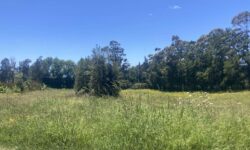 IMG_1296.jpeg &nbsp;