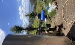 IMG_1303.jpeg &nbsp;