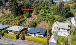 Haven (2).jpg &nbsp;