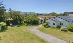 646786216.jpg &nbsp;