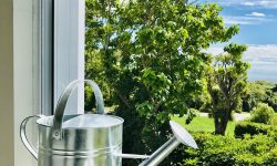 D182DFE8-2A55-4DF8-8C23-AFEDDA22E517.jpeg &nbsp;