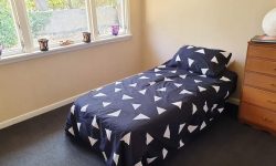 FB_IMG_1580958563454.jpg &nbsp;