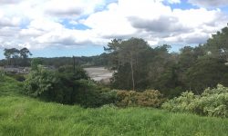 IMG_3833 2.jpg &nbsp;